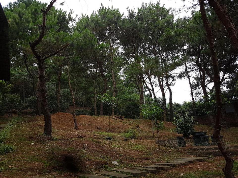 Bachlien Pine Forest Villa Hanoi Luaran gambar