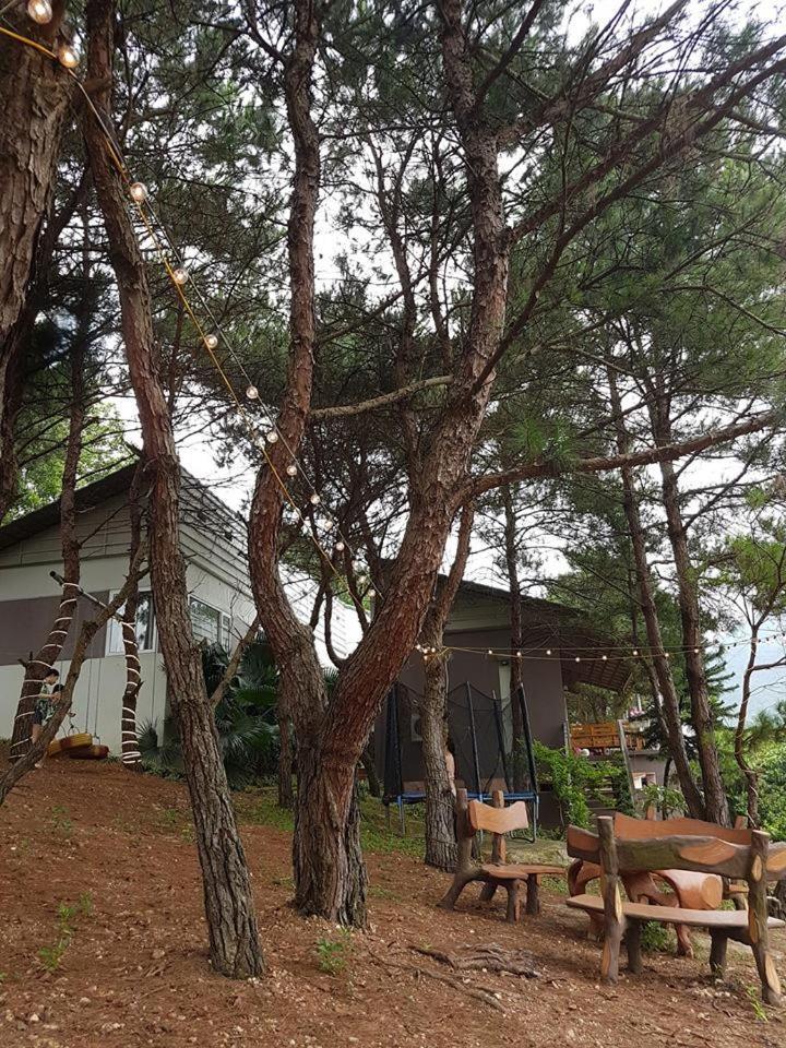 Bachlien Pine Forest Villa Hanoi Luaran gambar